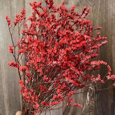 35~42CM/Aproximativ 35g Buchet de flori de iarbă de cristal conservată, naturală, uscată, flori pentru totdeauna uita-mă, iarbă iubitoare pentru decorarea interioară