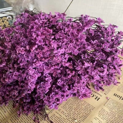 35~42CM/Aproximativ 35g Buchet de flori de iarbă de cristal conservată, naturală, uscată, flori pentru totdeauna uita-mă, iarbă iubitoare pentru decorarea interioară