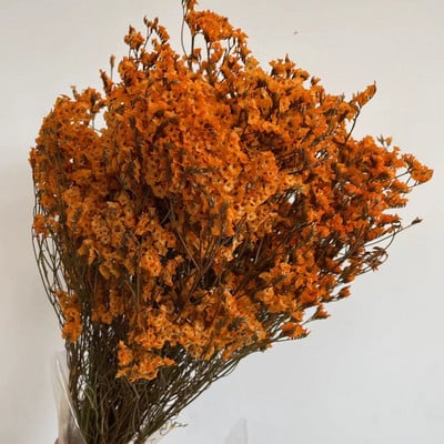 35~42CM/Aproximativ 35g Buchet de flori de iarbă de cristal conservată, naturală, uscată, flori pentru totdeauna uita-mă, iarbă iubitoare pentru decorarea interioară