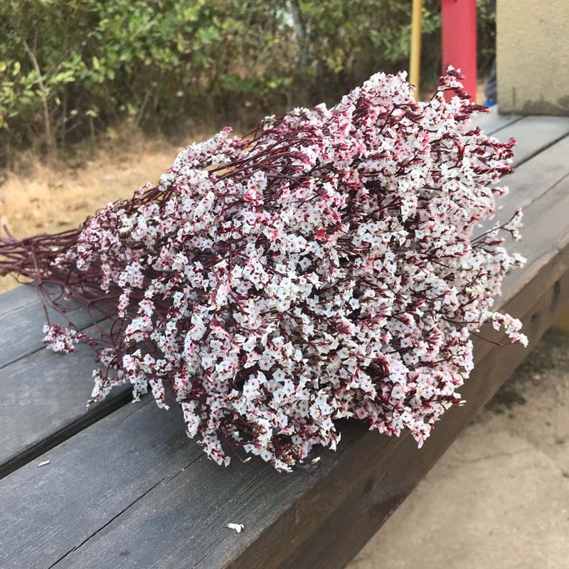 35~42CM/Aproximativ 35g Buchet de flori de iarbă de cristal conservată, naturală, uscată, flori pentru totdeauna uita-mă, iarbă iubitoare pentru decorarea interioară