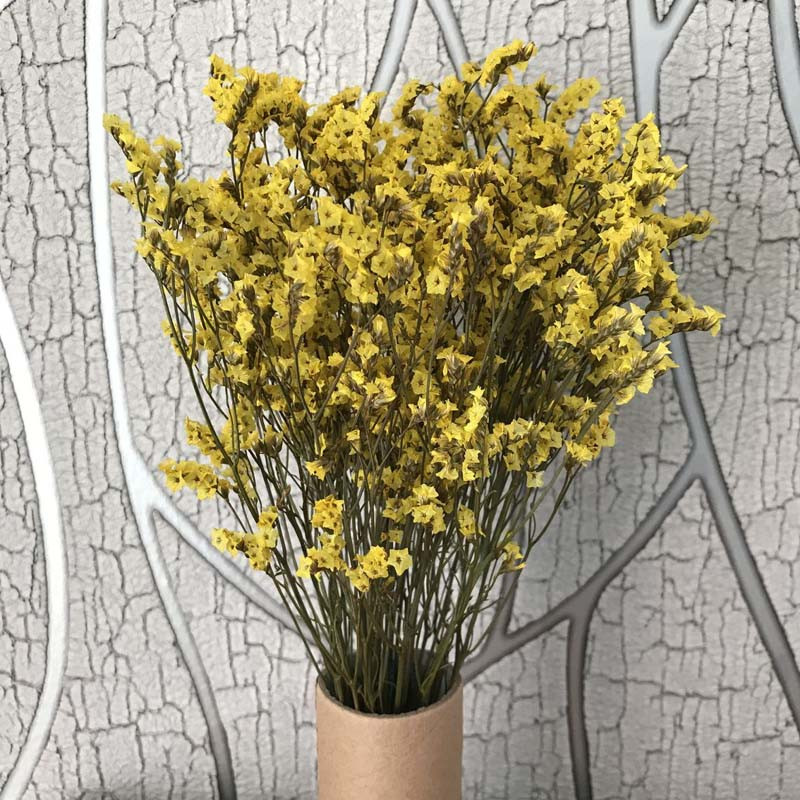 35~42CM/Aproximativ 35g Buchet de flori de iarbă de cristal conservată, naturală, uscată, flori pentru totdeauna uita-mă, iarbă iubitoare pentru decorarea interioară