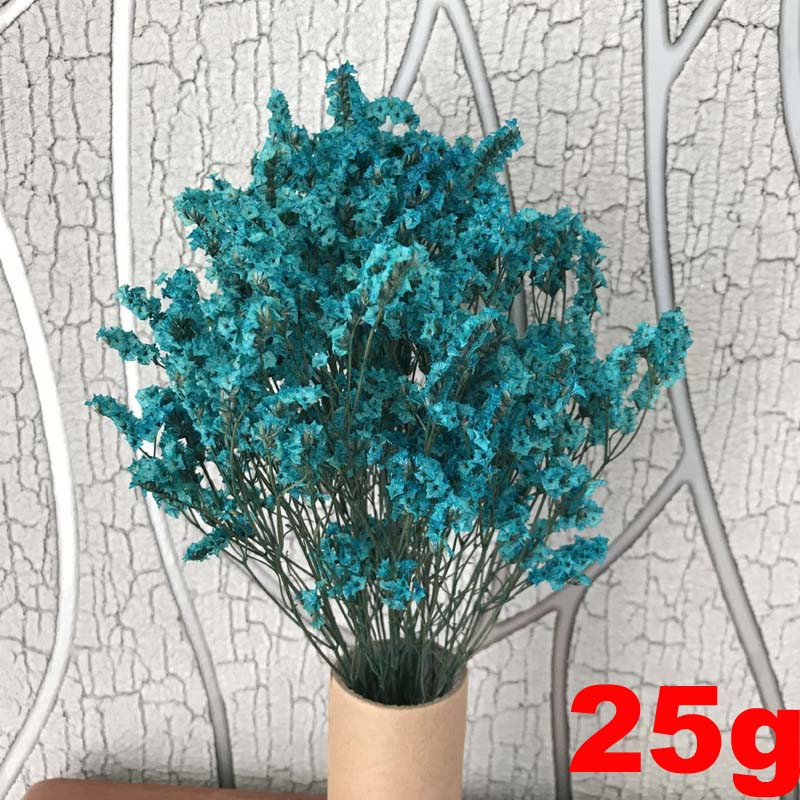 35~42CM/Aproximativ 35g Buchet de flori de iarbă de cristal conservată, naturală, uscată, flori pentru totdeauna uita-mă, iarbă iubitoare pentru decorarea interioară
