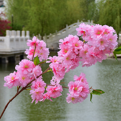 80cm Cherry Tree Artificial Pollen Κόκκινο Μεταξωτό Στολισμός Γάμου Κλαδί κερασιάς Διακόσμηση σπιτιού Αψίδα γάμου
