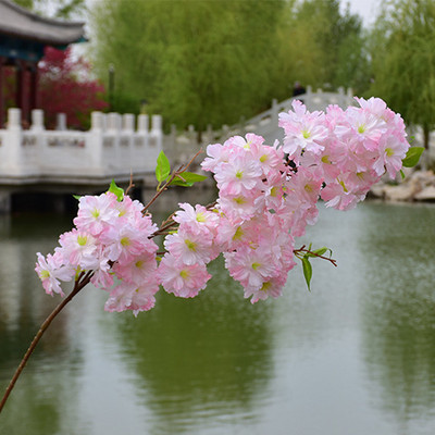 80cm Cherry Tree Artificial Pollen Κόκκινο Μεταξωτό Στολισμός Γάμου Κλαδί κερασιάς Διακόσμηση σπιτιού Αψίδα γάμου
