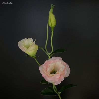 SunMade Lisianthus siidist kunstlill Kodu Pulmakaunistus Lilleseade Aksessuaarid Flores Artificales Lilla Flore