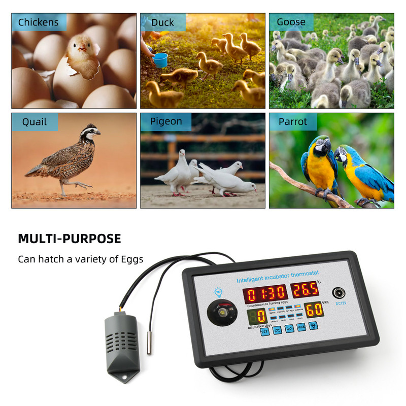 Yieryi Smart Thermostat Digital ZFX-W9002 termostaadi temperatuuri niiskuse reguleerimise inkubaator 360 automaatne munakeeramine 12V/220V