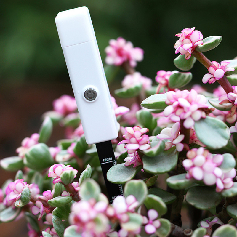 Universaalne mulla niiskuse andur mullatemperatuuri niiskuse tester aiataimede detektor istutusniiskusmõõtur kodu istutamiseks