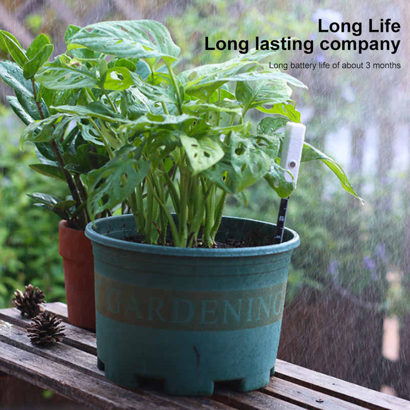 Mulla niiskusmõõtur Temperatuuri niiskuse tester Taimemonitor Nutikas kodu detektor Aiahooldus Istutamise niiskusmõõturi tööriist