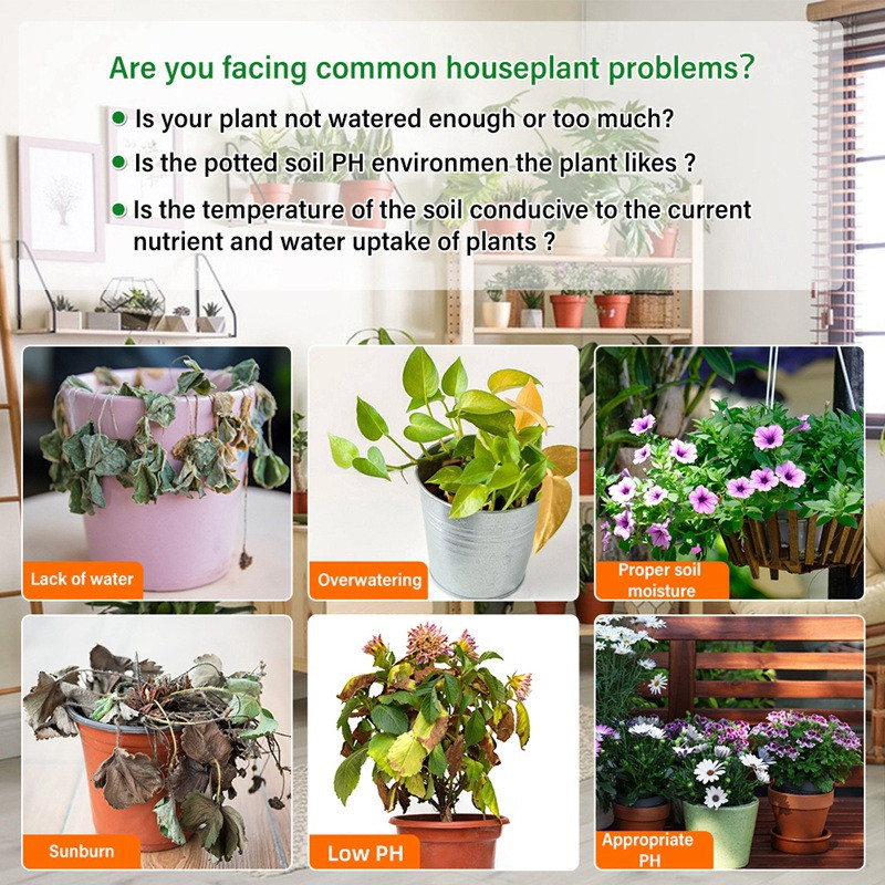 4-in-1 augsnes mērītājs PH/mitruma/saules gaismas/temperatūras dārza stādīšanai stādīšanas skābuma monitors