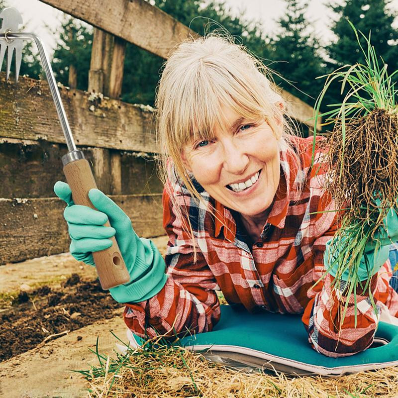„Weeder Hoe Small Hoe“ nerūdijančio plieno piktžolių traukimo rankinis įrankis mini kultivatorius, skirtas sodininkystei, kultivavimui, ravėjimui, kasimo priedai