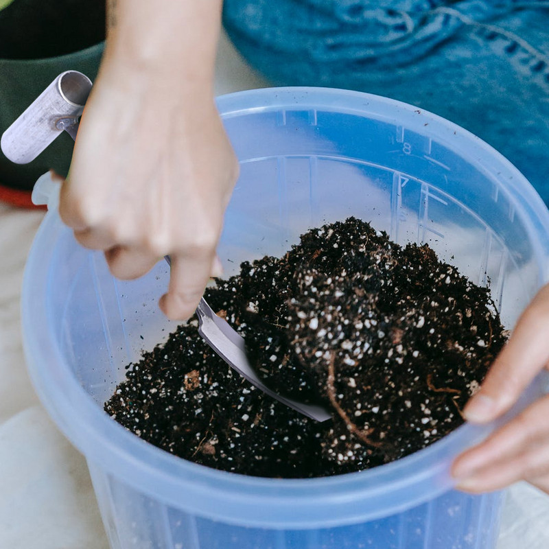 Sodininkystė Šaknis Persodinti Daigai Kasti Daržoves Ravėti Įrankis Auginti Gėlės Žolės Kastuvas