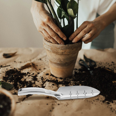 Sodo įrankis Mini Įrankiai Mentele Smailiais semtuvais Kasimas Nerūdijantis plienas Mažas