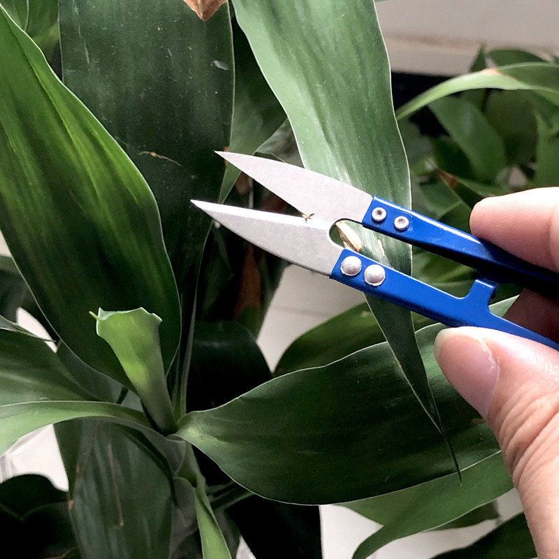 3 tk Oksakäärid Mini teravad käärid Aiandustaim Kääride oks Oksalõikur Trimmer Tööriist Õmblusriided Niidilõikurid