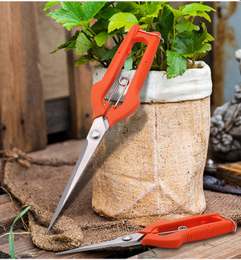 Ψαλίδι κλαδέματος Εργαλεία κήπου για μπάλωμα κήπου και λαχανικών Μπονσάι Επαγγελματικά κουφώματα από ανοξείδωτο ατσάλι Μαζεύοντας φρούτα Sharp PP