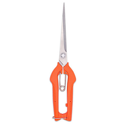 Oksakäärid Aiatööriistad aia- ja juurviljalappide jaoks Bonsai Professionaalsed tisleritööd roostevabast terasest puuviljakorjamine Sharp PP