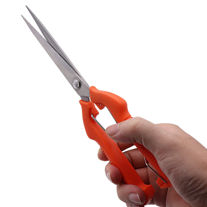 Oksakäärid Aiatööriistad aia- ja juurviljalappide jaoks Bonsai Professionaalsed tisleritööd roostevabast terasest puuviljakorjamine Sharp PP