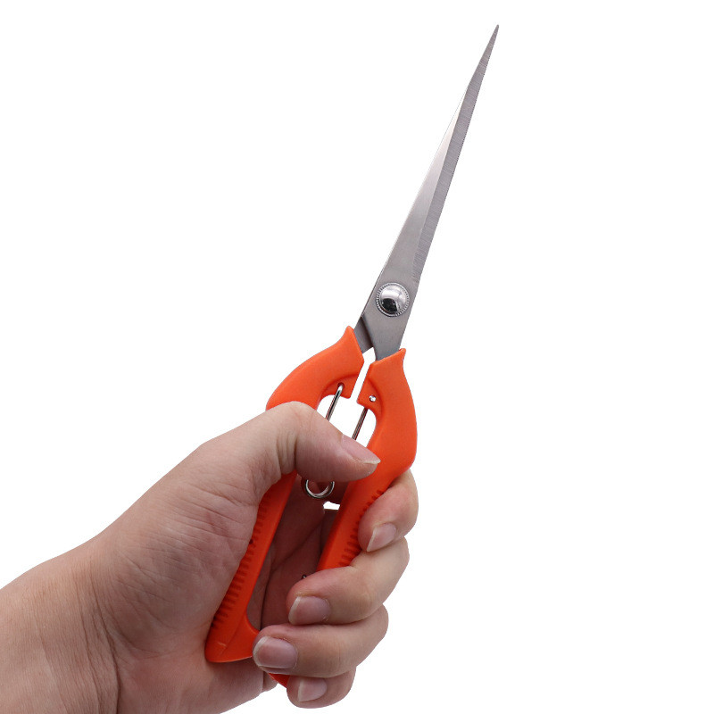 Oksakäärid Aiatööriistad aia- ja juurviljalappide jaoks Bonsai Professionaalsed tisleritööd roostevabast terasest puuviljakorjamine Sharp PP