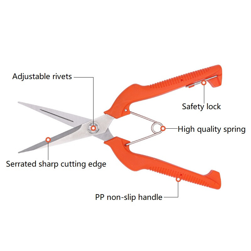 Oksakäärid Aiatööriistad aia- ja juurviljalappide jaoks Bonsai Professionaalsed tisleritööd roostevabast terasest puuviljakorjamine Sharp PP