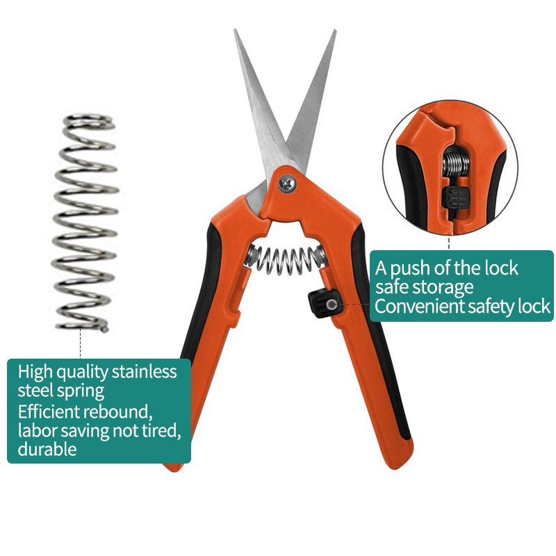 Orezivanje grana od nehrđajućeg čelika Vrtlarstvo voćaka Orezivanje grana cvijeća Vrtlarski alati Škare za vrtlarstvo cvijeća