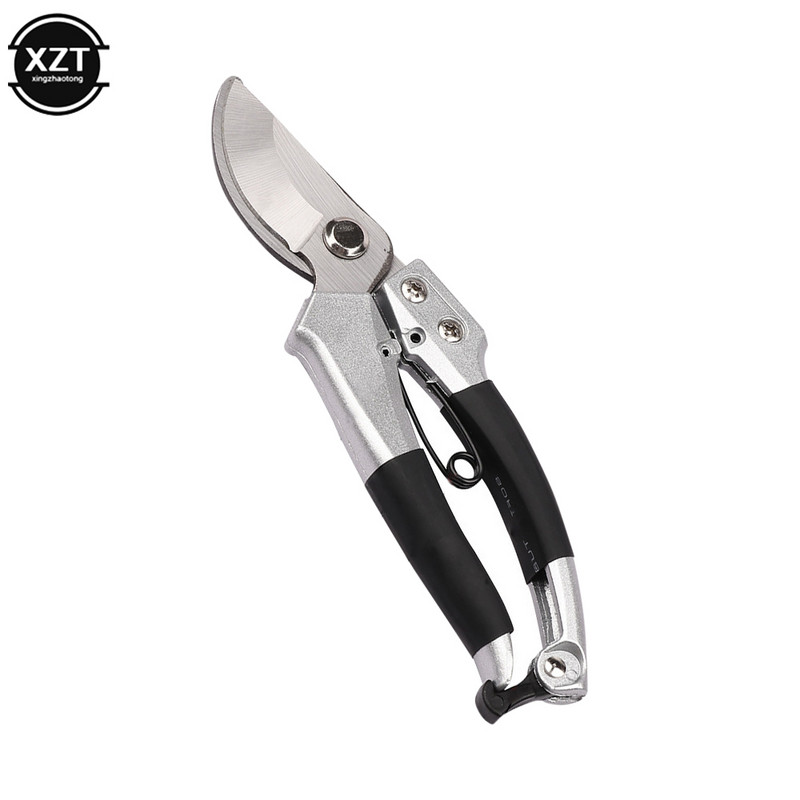 Profesionālas, viegli lietojamas smailas dārza atzarošanas šķēres Plānas augļu šķēres samazina augu bojājumus Asas dārza šķēres Jauns