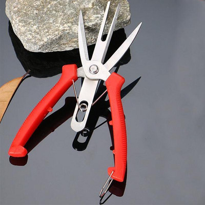 Kahe teraga puuviljakorjamise käärid Aiaoksakäärid Tsitrusviljade lillede kultiveerimine Tahke mitmeotstarbeline pügamine Viljapuu oksakäärid