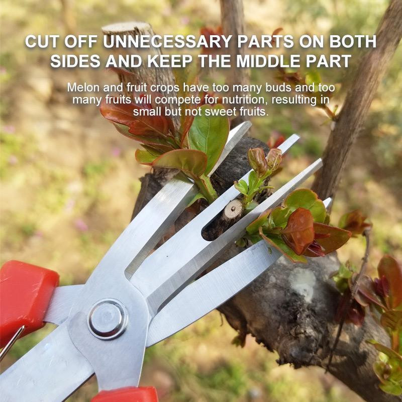 Kahe teraga puuviljakorjamise käärid Aiaoksakäärid Tsitrusviljade lillede kultiveerimine Tahke mitmeotstarbeline pügamine Viljapuu oksakäärid