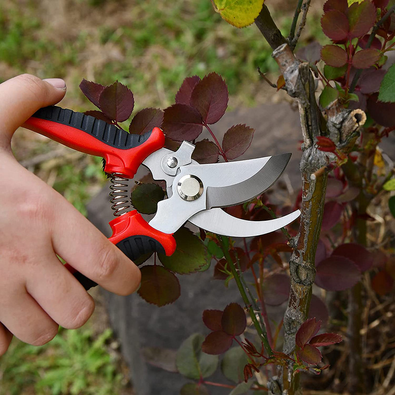 Foarfece de tăiere bypass pentru grădinărit Foarfece de tundere rezistente din oțel inoxidabil Foarfece de precizie pentru plante bonsai Flori de legume