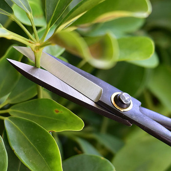 21 см инструмент за бонсай за начинаещи Ножици с дълга дръжка Ножици за градински растения Ножици за клони Градинска резитба Ножици за бонсай Drop Shipping