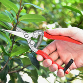 Kertészeti kézi metszővágó kerti olló metszőolló Vágó metszővágó levélvágó egyenes virágüzlet olló szerszám növényekhez