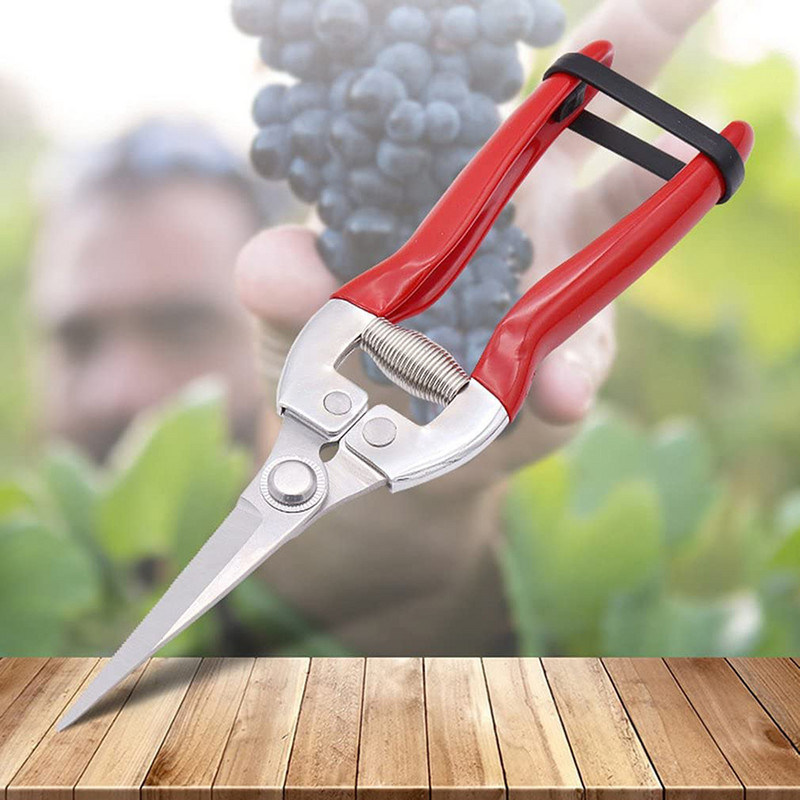 Kertészeti kézi metszővágó kerti olló metszőolló Vágó metszővágó levélvágó egyenes virágüzlet olló szerszám növényekhez