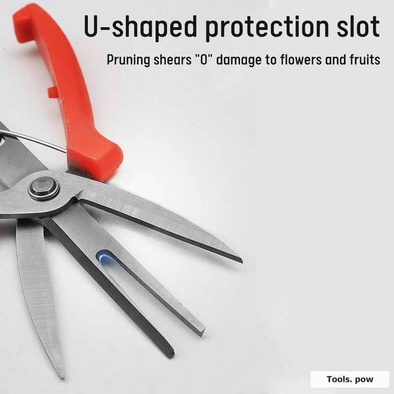 Foarfece pentru cules fructe cu două tăișuri Foarfece pentru citrice cu două tăișuri Foarfece pentru pomi fructiferi Foarfece pentru flori Foarfece subțiri pentru struguri pentru fructe