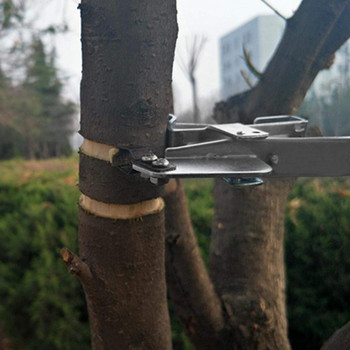 Εργαλείο κοπής αποφλοιωτή αποφλοίωσης οπωροφόρων δέντρων σε σχήμα δακτυλίου Εργαλείο εμβολιασμού από ανοξείδωτο χάλυβα