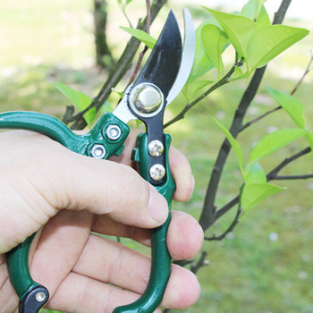 Мини градински ръчни ножици Силна издръжливост и здравина за рязане на стъбла Леки клони WWO66