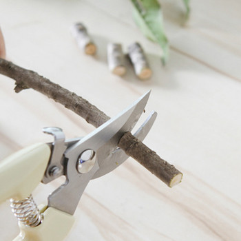 Градински ножици Ръчен инструмент за подрязване на овощни градини Ножица от неръждаема стомана Тримери за клони на дървета Ножици за градинарски ножици Инструменти