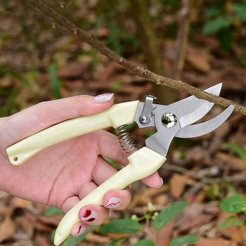 Drtools 17cm Pruner Tree cutter Κηπουρική Ψαλίδι κλαδέματος Σετ εργαλείων κοπής από ανοξείδωτο ατσάλι Εργαλεία σπιτιού Αντιολισθητικά