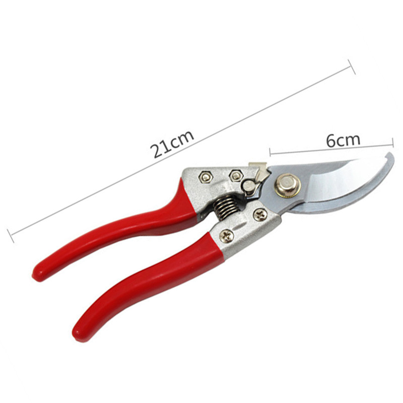 Orezivanje Vrtne škare za orezivanje Škare za hortikulturu Škare za voćke Vrtni alati Bonsai vrtlarske škare Alat za cijepljenje