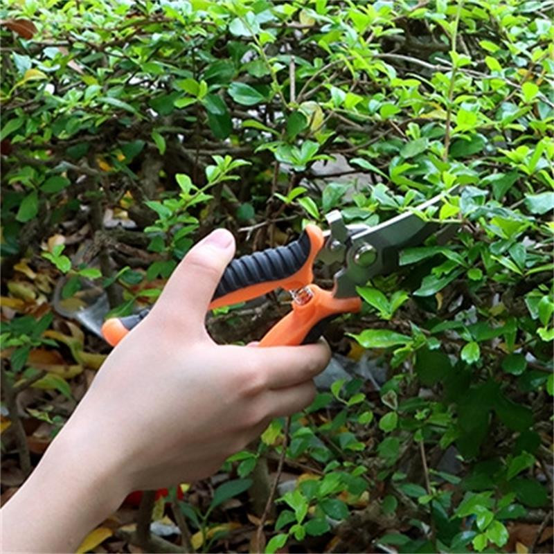 Atzarotājs Dārza Šķēres Profesionālas Asas Apvedceļa Atzarošanas Šķēres Koku Trimmeri Šķēres Rokas Knaibles Dārza Knābju Šķēres