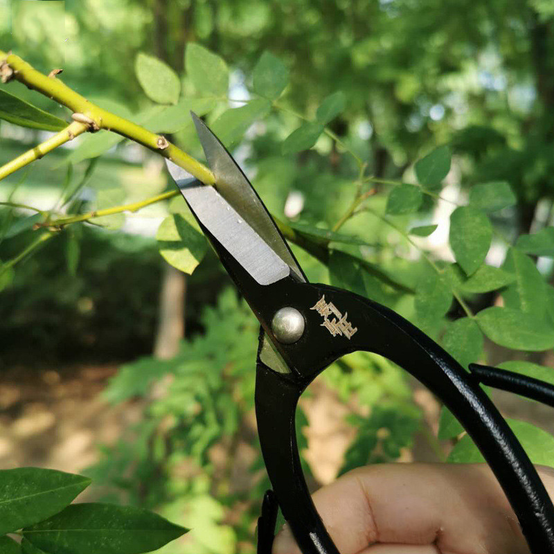 Labas kvalitātes 195mm augstas cietības tērauda dārza bonsai sakņu atzarošanas šķēres Profesionālie griešanas instrumenti zaru šķēres 59HRC