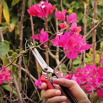 Ножици за подрязване заострени градински ножици Берачи на плодове и зеленчуци ножици ножици за клони градински инструменти нож за присаждане