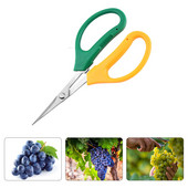 Kertészeti szerszám olló Kétszínű ág bonsai olló könyök ritka gyümölcsszedő szőlő olló szedőeszköz