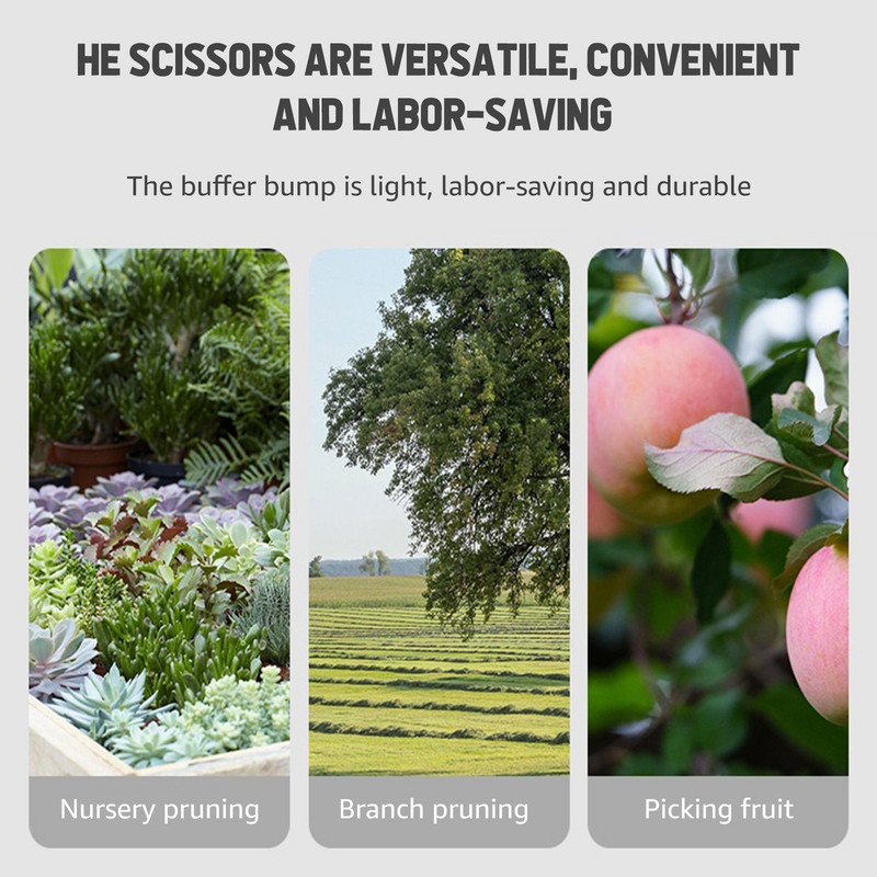 Kertészeti szerszám olló Kétszínű ág bonsai olló könyök ritka gyümölcsszedő szőlő olló szedőeszköz
