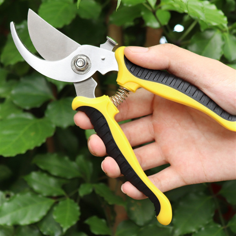 1Pc Professional Sharp Plant Trim Dārzkopība Atzarotājs Griezt Šķēres krūms Dārzs Nerūsējošā tērauda šķēres zaru šķēres instrumenti