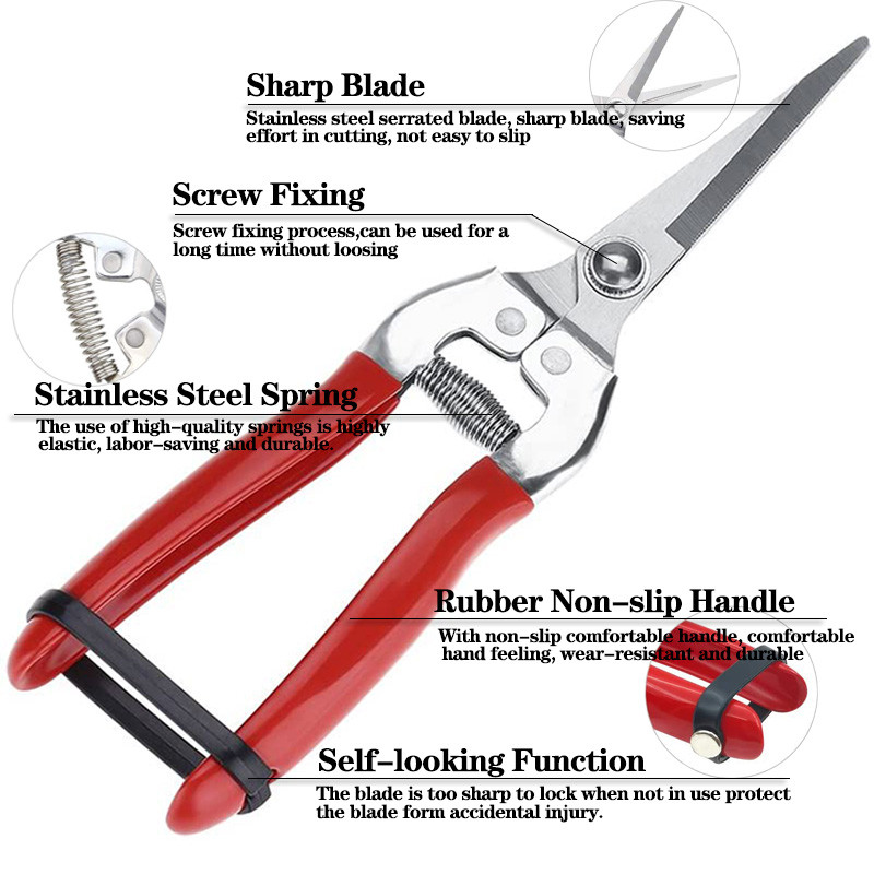 Dārzkopības rokas griezējs Dārza šķēres Atzarošanas šķēres Mikrouzgali Atzarošanas grieznes Lapu trimmeris Taisnas florista šķēres augiem