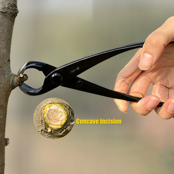 210 мм фреза за копчета за бонсай Градинарство Инструменти за поддръжка на оформяне на клони на растения Клещи за подрязване с кръгъл нос Градински инструменти за бонсай