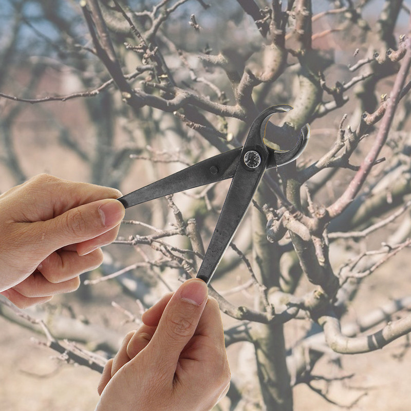 210 mm Bonsai rokturis griezējs Dārza augu zaru veidošanas apkopes rīki Apaļdeguna atzarošanas knaibles Dārza Bonsai instrumenti