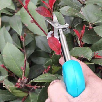 Градинска ножица за подрязване Ножици за бране на плодове Домакински преносими ножици за бране на пипер Мушмули Ножици за цветя Домашно градинарство Ръчни инструменти