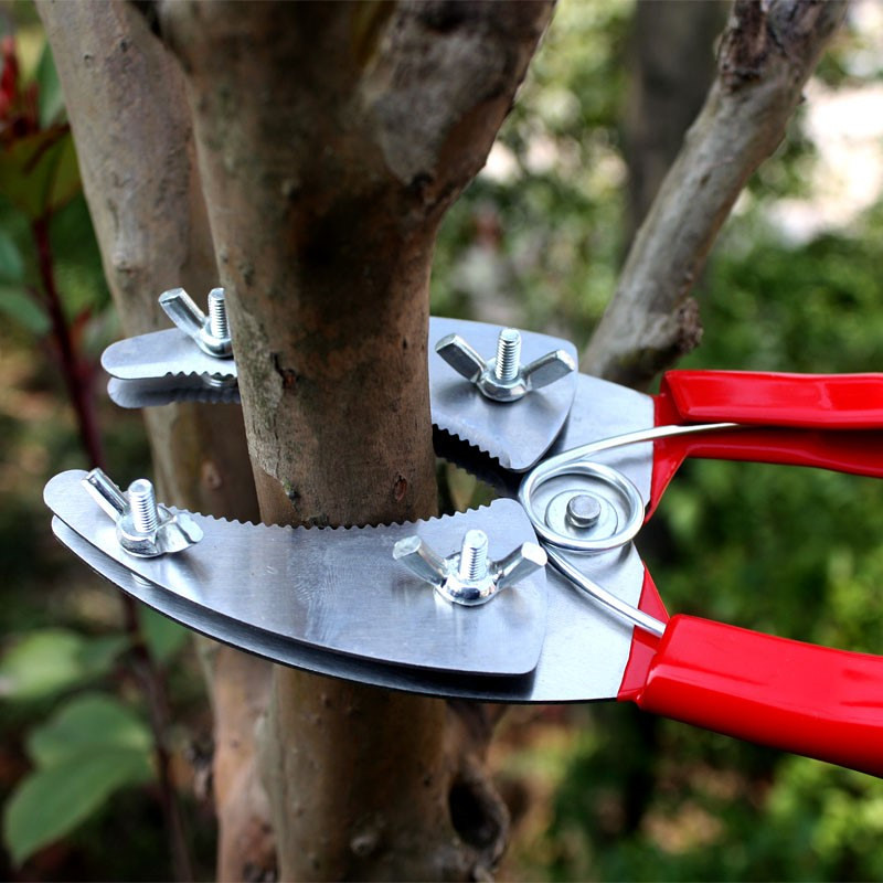 Gyümölcsfa kéreg gyűrűvágó kerti oltóágak Csupaszító Csupaszító olló körvágó olló Vágókés Vágószerszámok