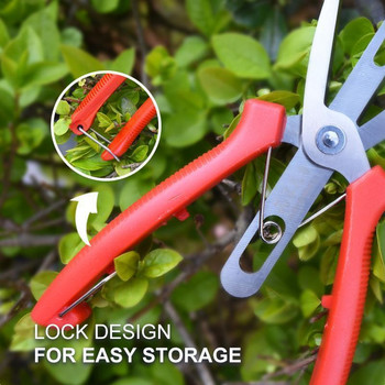 Agriculture Thinning Scissors Διπλής θυρίδας Ψαλίδι αραίωσης φρούτων και λουλουδιών πολλαπλών χρήσεων Εργαλείο κλαδέματος καλλιέργειας οπωροφόρων δέντρων