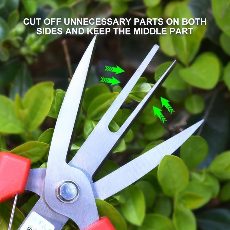 Agriculture Thinning Scissors Διπλής θυρίδας Ψαλίδι αραίωσης φρούτων και λουλουδιών πολλαπλών χρήσεων Εργαλείο κλαδέματος καλλιέργειας οπωροφόρων δέντρων