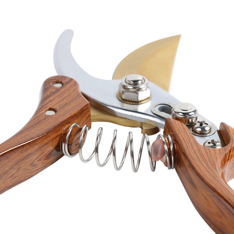 Professional Garden Beak Scissor Horticulture Pruner Orchard Hand Shears Trimmers For Secateur Shrub Bonsai Bypass Tree Branch
